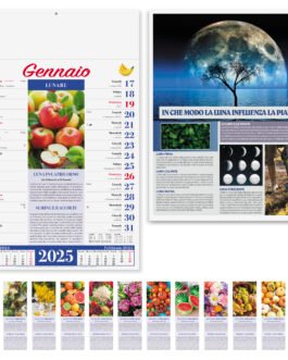 Calendario Orto e Giardino